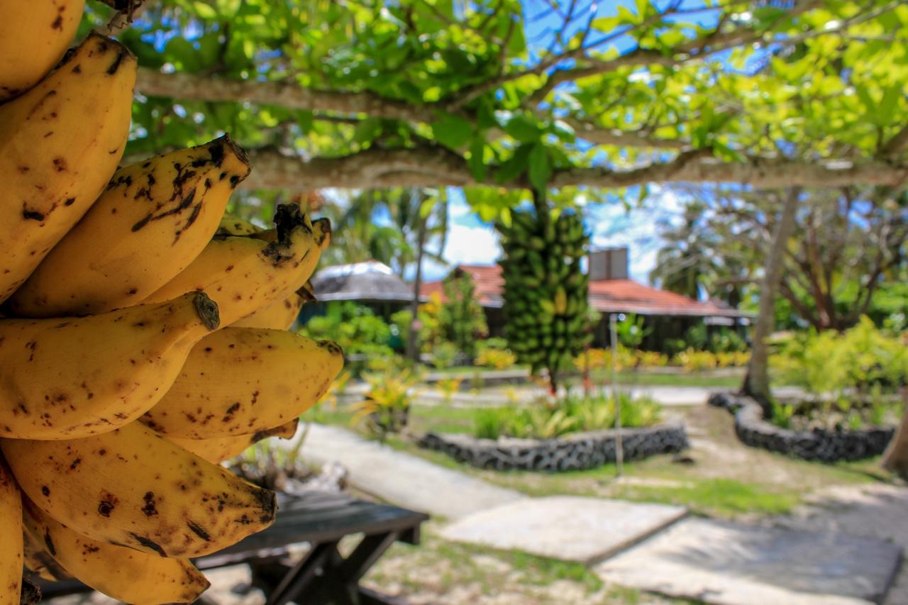 Vaimoana Seaside Lodge Savai'i Island Zewnętrze zdjęcie